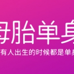 母胎单身中文版，直接玩